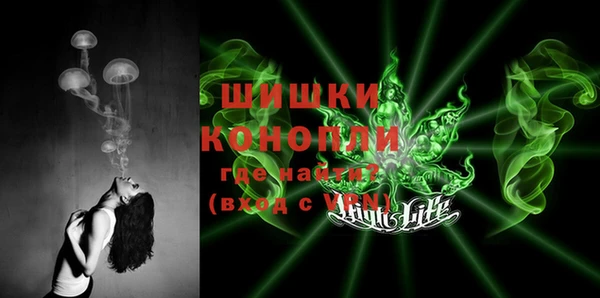 амф Костерёво