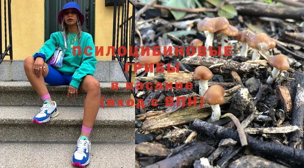 не бодяженный Корсаков