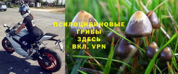 амф Костерёво