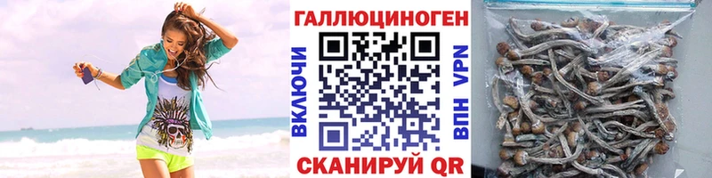 где купить наркоту  Радужный  Галлюциногенные грибы мухоморы 